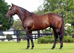 hinchinbrookmarch2012lr